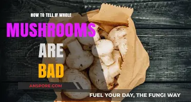 Spotting Spoiled Whole Mushrooms: Signs of Badness to Watch For