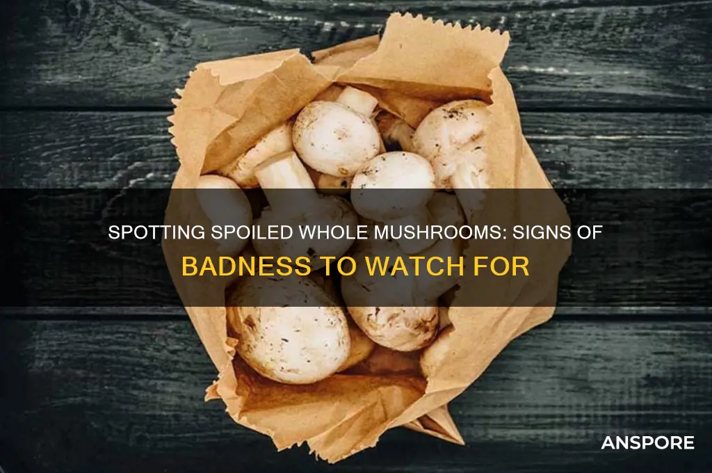 how to tell if whole mushrooms are bad
