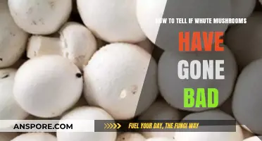 Spotting Spoiled White Mushrooms: Signs of Bad Fungi to Avoid