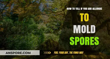 Identifying Mold Allergy Symptoms: Signs You're Sensitive to Mold Spores