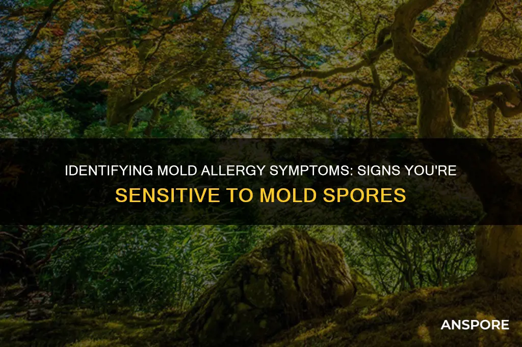 how to tell if you are allergic to mold spores