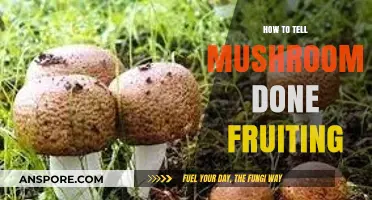 Signs Your Mushrooms Have Finished Fruiting: A Comprehensive Guide