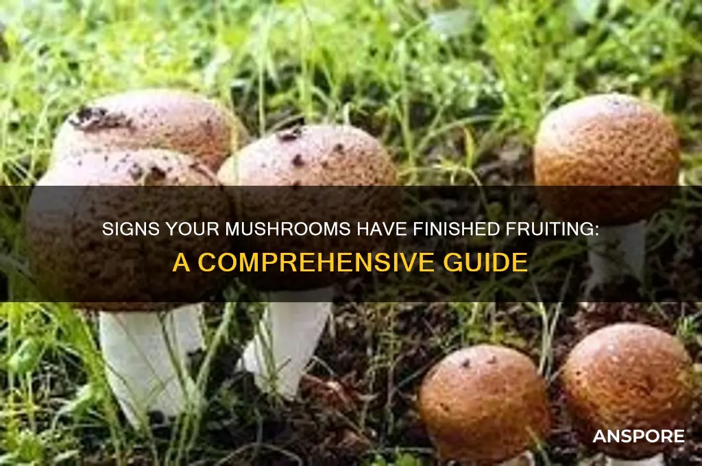 how to tell mushrooms done fruiting