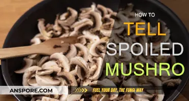 Spotting Mushrooms Gone Bad: What to Look For