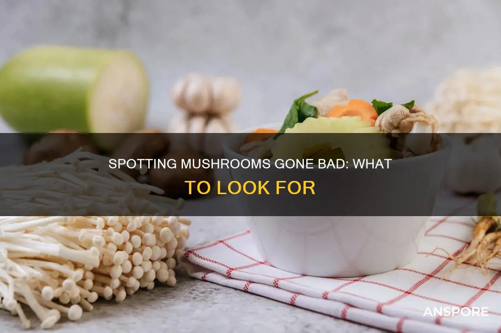 how to tell spoiled mushrooms
