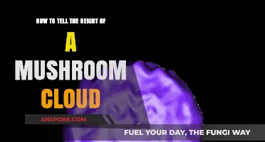 Estimating Mushroom Cloud Height: A Comprehensive Guide to Observation Techniques