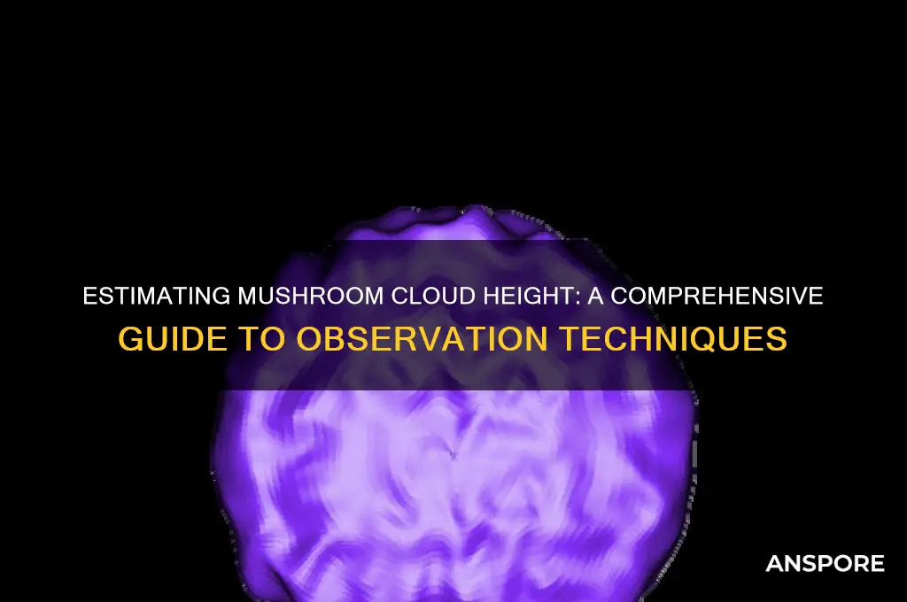 how to tell the height of a mushroom cloud