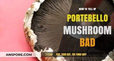 Spotting Spoiled Portobello Mushrooms: Signs and Tips to Check