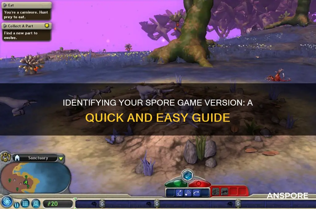 how to tell what version of spore i have