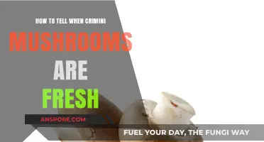Spotting Fresh Crimini Mushrooms: A Guide to Quality and Freshness