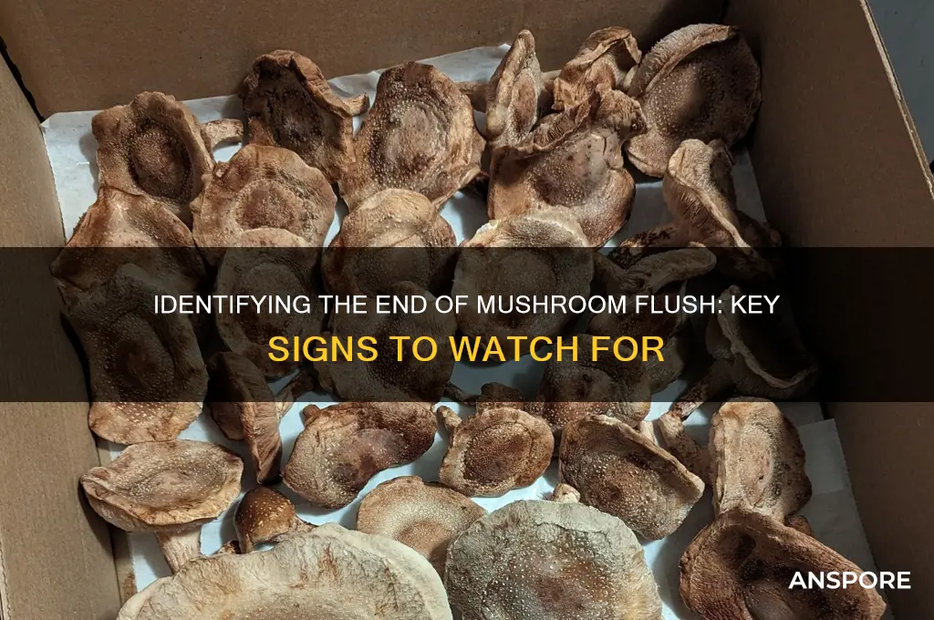 how to tell when flush is over mushrooms