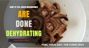 Perfectly Dried Mushrooms: Signs They're Fully Dehydrated and Ready