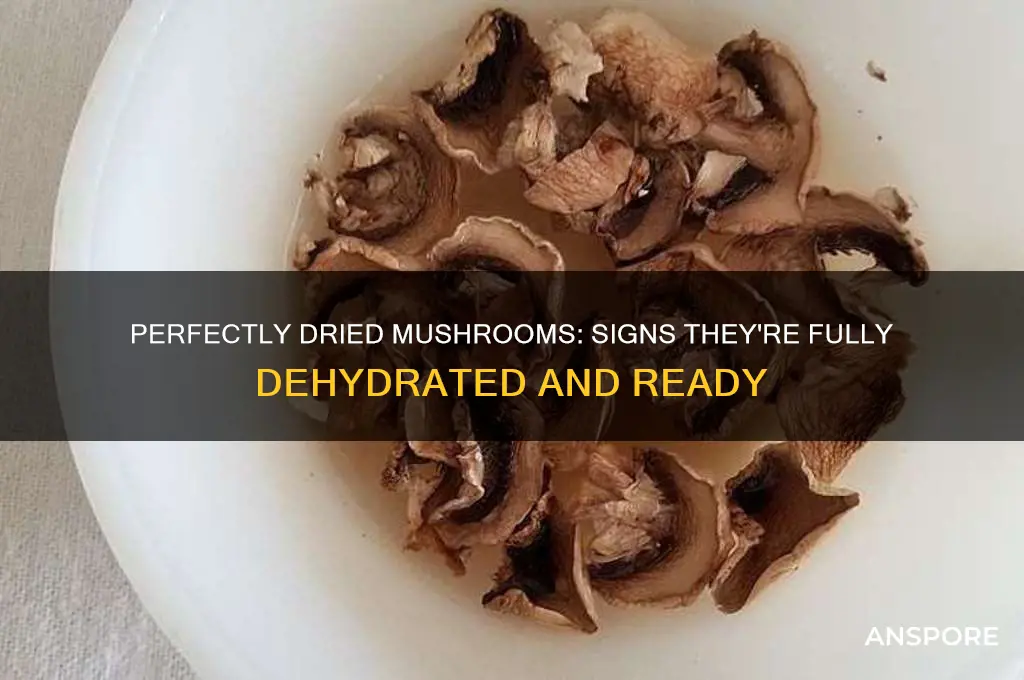 how to tell when mushrooms are done dehydrating
