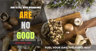 Spotting Spoiled Mushrooms: Signs Your Fungi Have Gone Bad