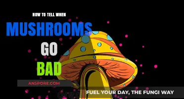 Spotting Spoiled Mushrooms: Signs Your Fungi Have Gone Bad