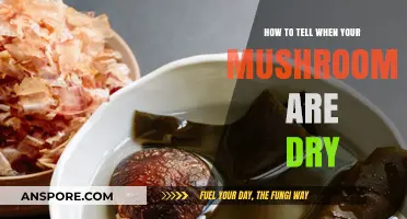 Perfectly Dried Mushrooms: Signs to Look For and Tips to Ensure Success