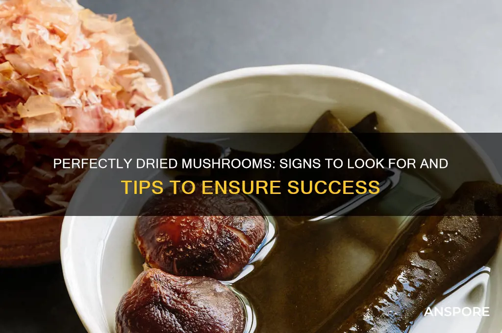 how to tell when your mushrooms are dry