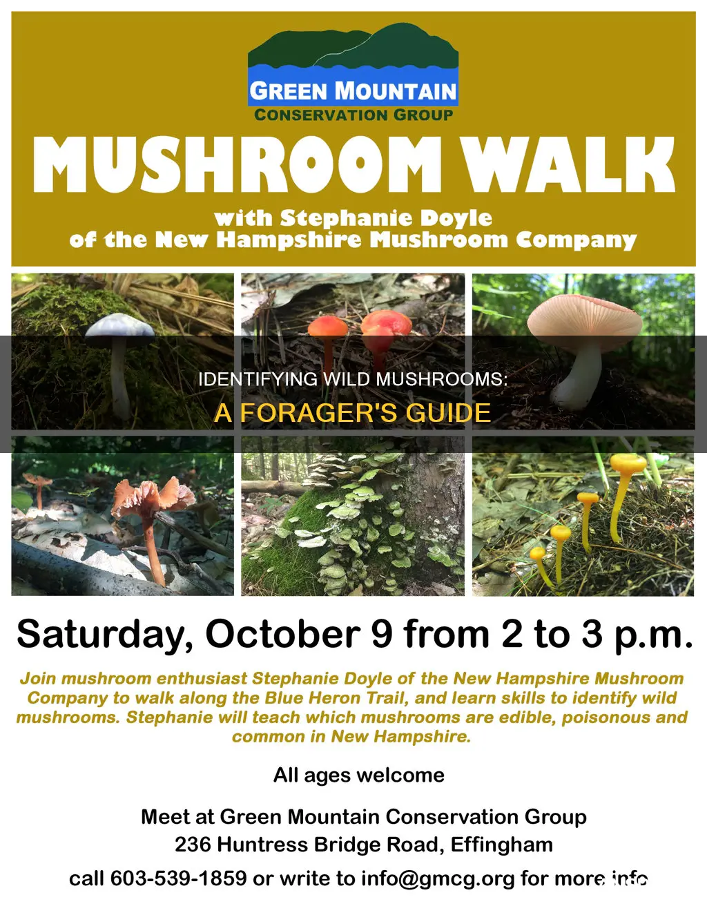 how to tell wild mushrooms