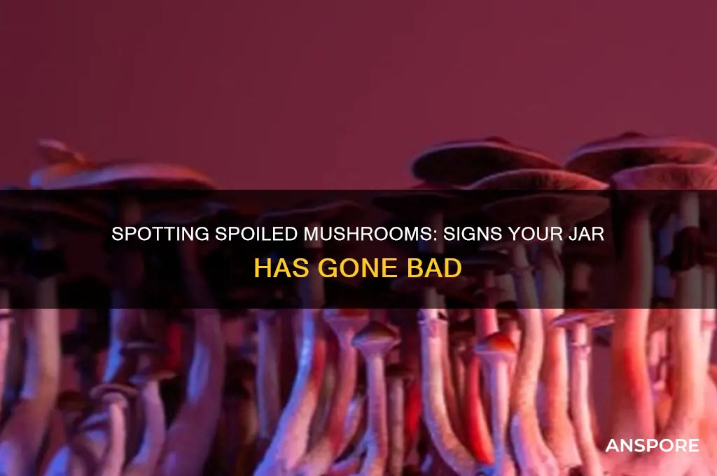 how to tell your jar of mushrooms have gone bad