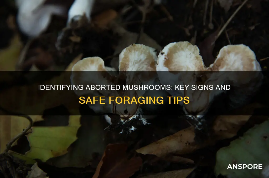 how to tell your mushroom is a abort