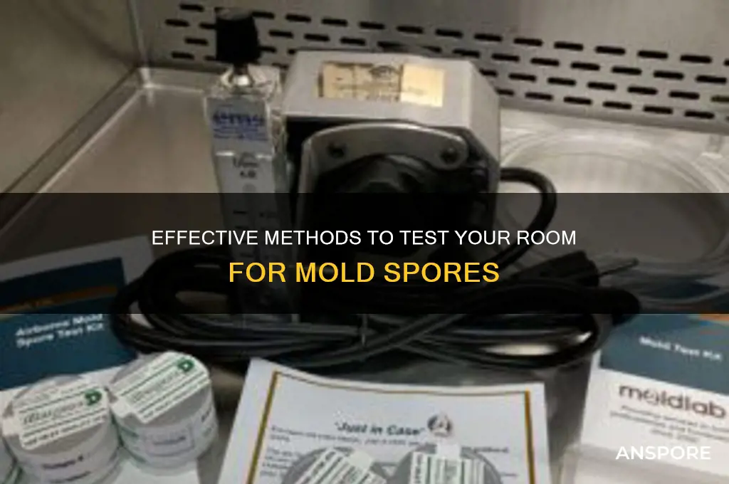 how to test a room for mold spores