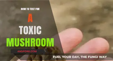 Identifying Deadly Fungi: Safe Methods to Test for Toxic Mushrooms