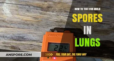 Detecting Mold Spores in Lungs: Essential Testing Methods and Tips