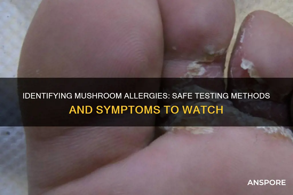 how to test for mushroom allergy