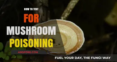 Identifying Mushroom Poisoning: Essential Testing Methods and Safety Tips