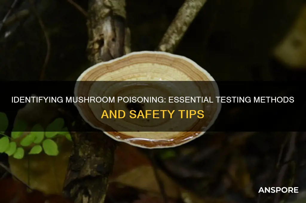 how to test for mushroom poisoning