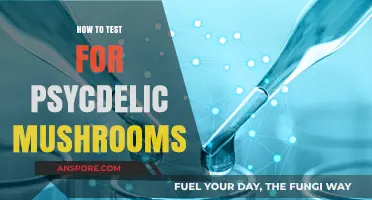 Safely Identifying Psychedelic Mushrooms: A Comprehensive Testing Guide