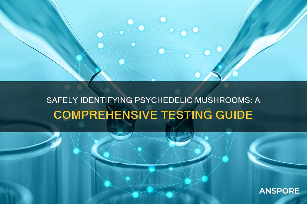 how to test for psycdelic mushrooms