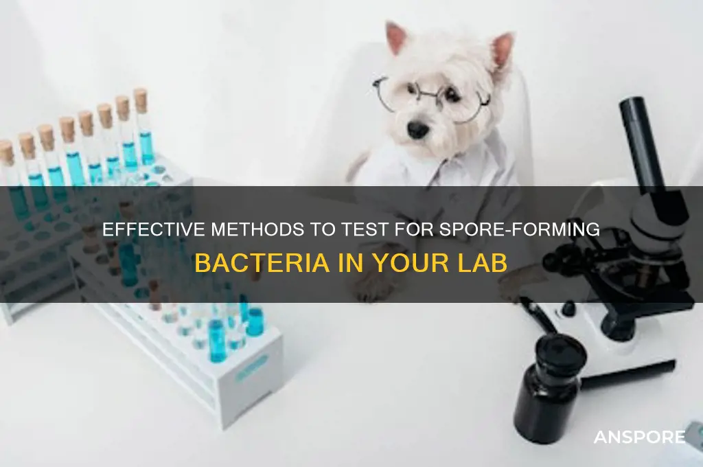 how to test for spore forming bacteria