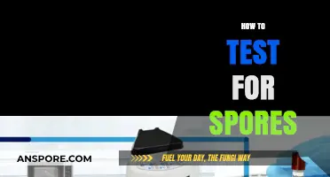 Effective Methods for Testing Spores: A Comprehensive Step-by-Step Guide