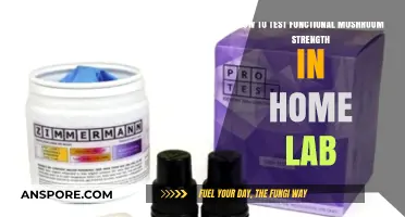 Testing Functional Mushroom Potency: A Home Lab Guide for Beginners