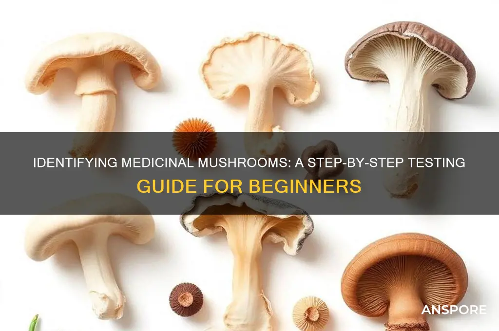how to test if a mushroom is medicinal
