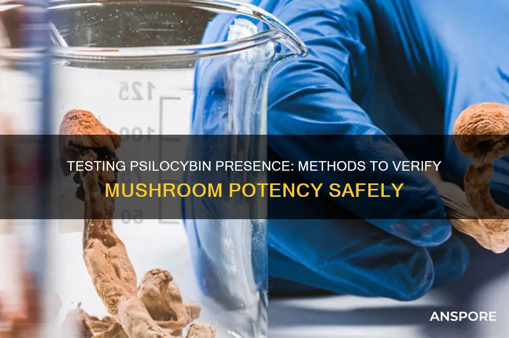 how to test if mushrooms still have psylocibin
