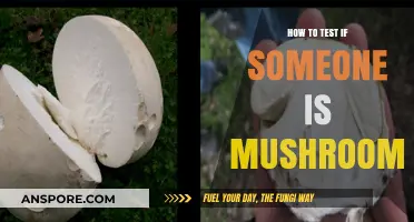 Identifying Mushroom Intoxication: Key Signs and Testing Methods Explained