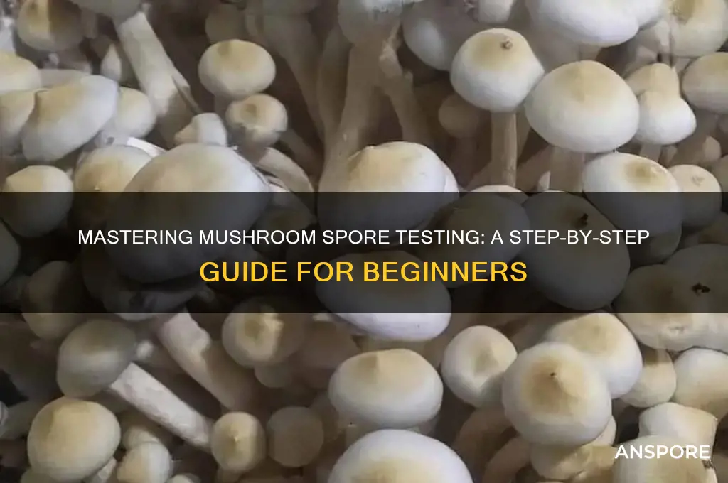 how to test mushroom spores