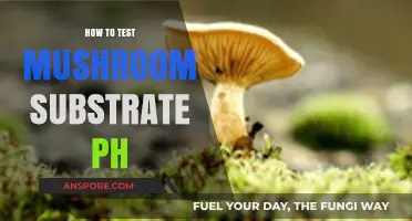 Mastering Mushroom Substrate pH Testing for Optimal Fungal Growth