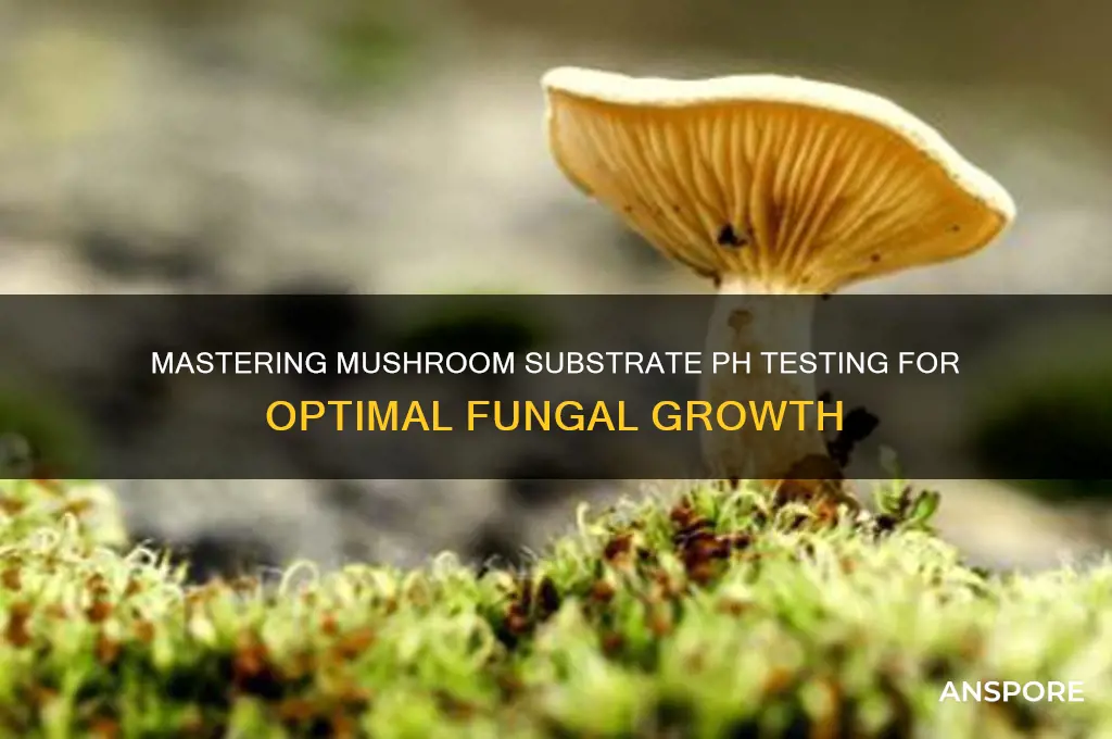 how to test mushroom substrate ph
