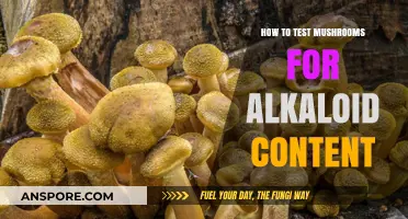 Testing Mushrooms for Alkaloids: A Comprehensive Guide to Accurate Methods