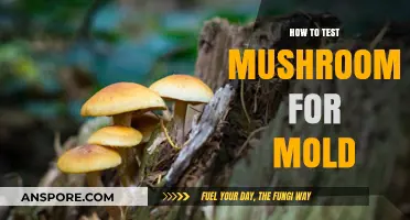 Safely Testing Mushrooms for Mold: A Comprehensive Guide for Growers