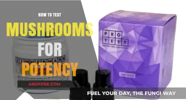 Mastering Mushroom Potency Testing: Accurate Methods for Reliable Results