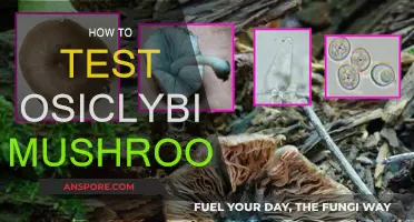 Testing Osiclybin Mushrooms: A Step-by-Step Guide