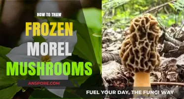 Thawing Morel Mushrooms: Quick Tips for Perfect Texture and Flavor