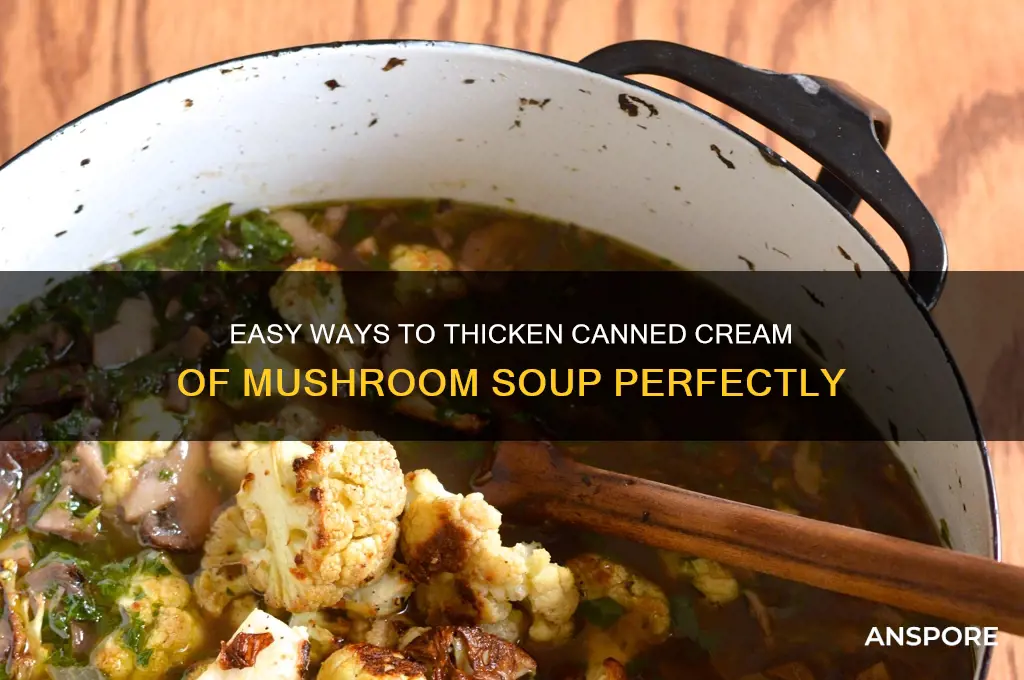 how to thicken canned cream of mushroom soup