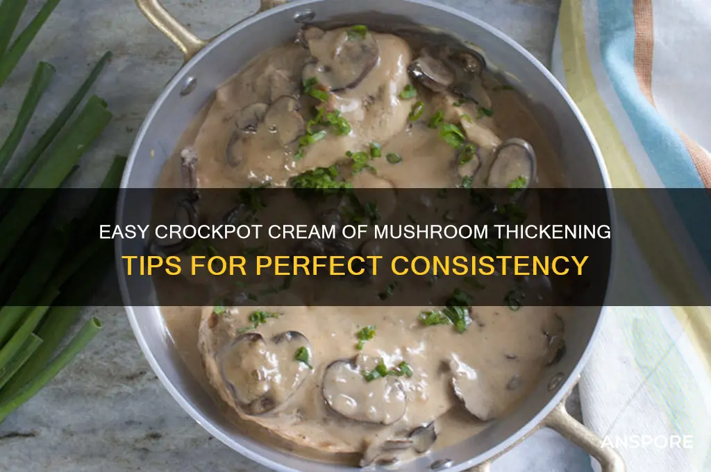 how to thicken cream of mushroom in crockpot