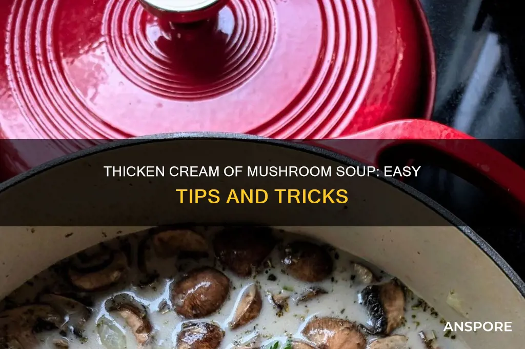 how to thicken cream of mushroom