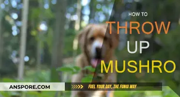 Get Rid of Mushroom Poisoning: Induce Vomiting